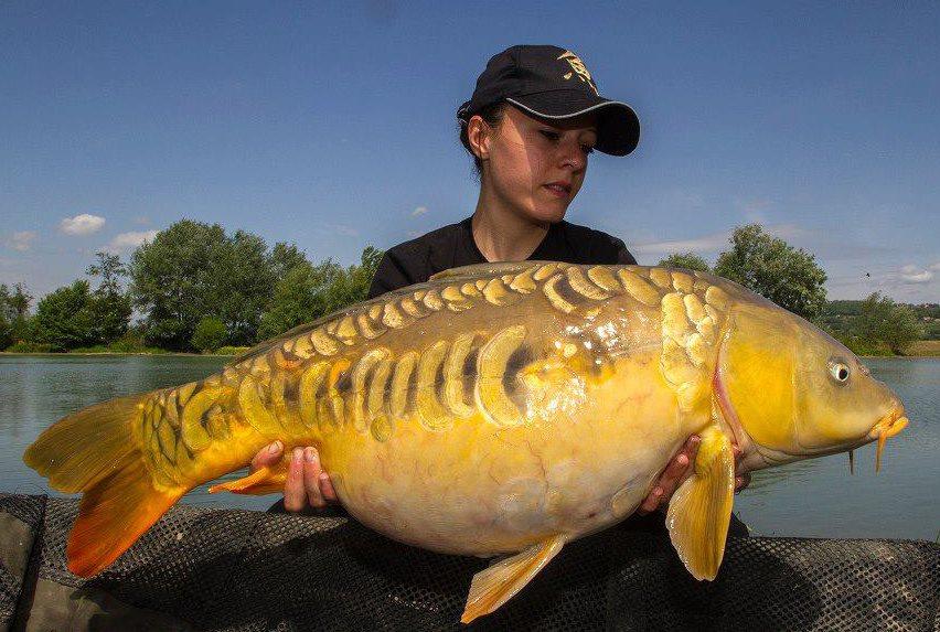 florian tanasa - 9229073270658174223551005931305n.jpg